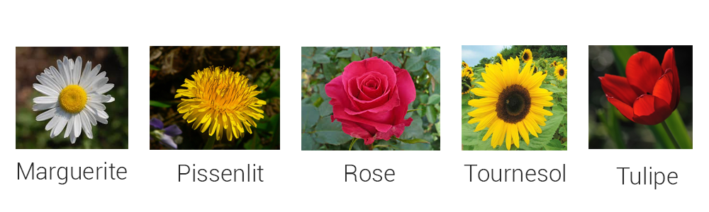 classificateur d image