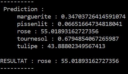 prediction d'un réseau de neurones