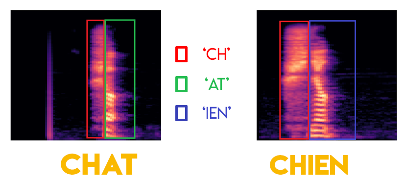 mel spectrogramme chat chier