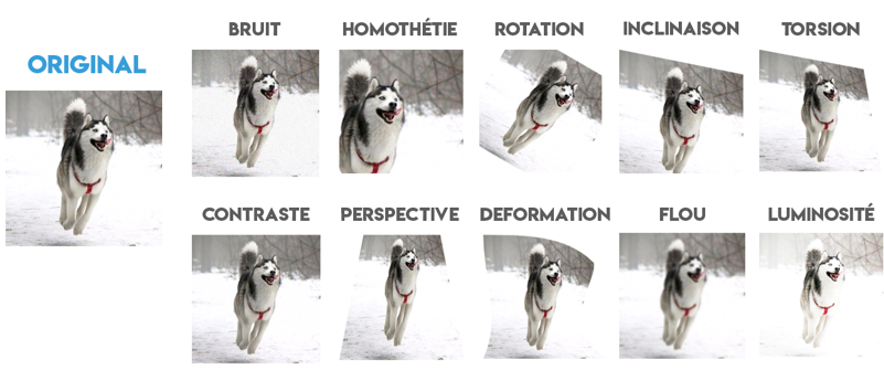 data augmentation sur image