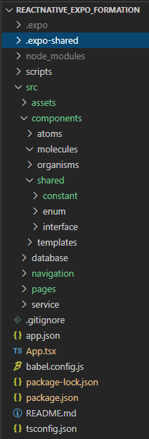 squelette de base application react native